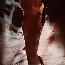 Bird's nest hangs at the last floodings' height