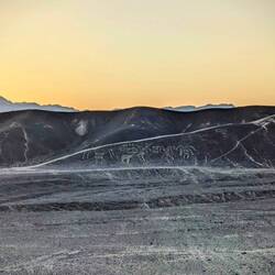 La Familia Real de Paracas