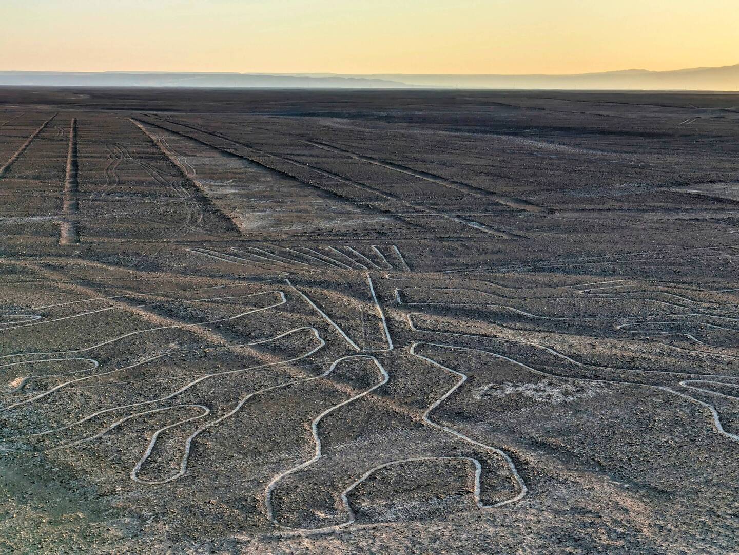 El árbol (Nazca)
