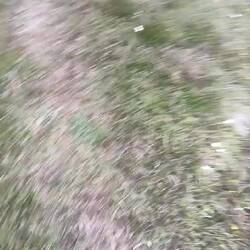 Sie hät au gschider d Lüftig zuegmacht, vor em Weltuntergang