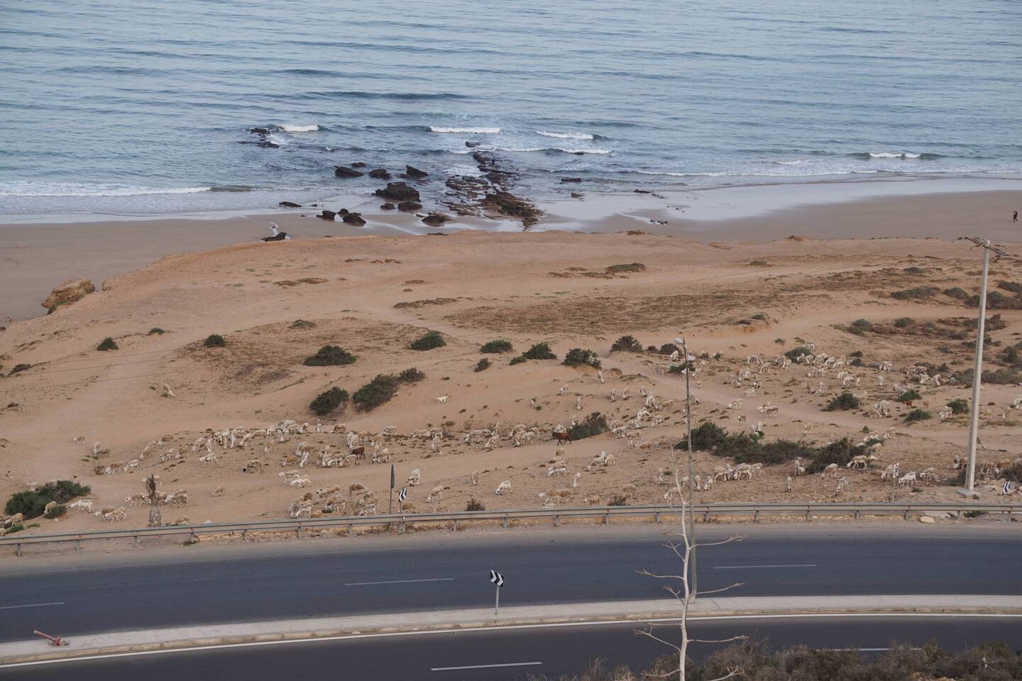 Es bitz ussergwöhlivhe Bsuech am Strand