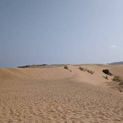 Sanddühne am Strand