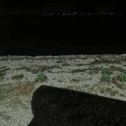 Schatten in der Nacht