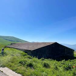 Absolut unschscheinbar