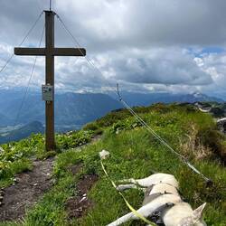 Am ersten Gipfel angekommen, den Bräuningzinken, heißt es: die Sonnenbadesaison ist eröffnet!