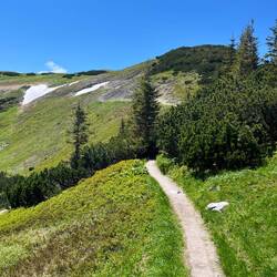 ..und Wege in Richtung zum letzten Gipfel, dem eigentlichen..