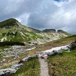 Ich wandere zunächst Richtung Osten zur Bräuningalm, wo ansonsten..