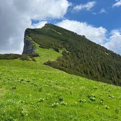 Die Wanderung ist aber noch lange nicht vorbei (Blick zurück auf den Bräuningzinken) und..