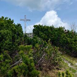 Der Aufstieg zum Gipfelkreuz ist von Kieferlatschen gesäumt..