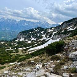 Johnny hatte sowieso noch genügend Energie, also lief er mal wieder ein paar Meter mehr.
