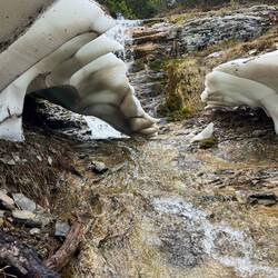 Der letzte Schnee kämpft noch ums blanke Überleben, wo..
