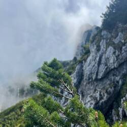 Als der Nebel nach oben wandert..