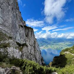 ..durch die Bäume - großteils ist aber die Felswand ständiger Begleiter.