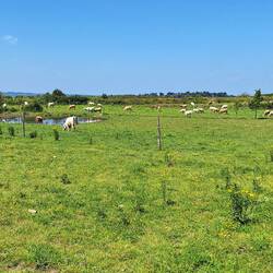 Idylle pur auf Tascon