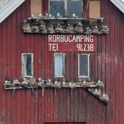 Hier campen nur noch Möwen. 😀