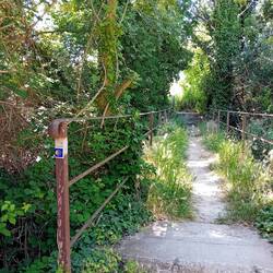 Heading over a cute bridge and through a wild area.