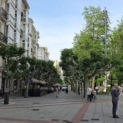 The vibe here was just lovely!