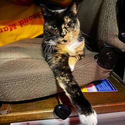 Always the princess 👑