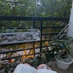 Lil reading balcony in the dorm