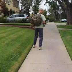 Und in bewegter Form mit Kommentaren.