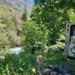 Neuer Stellplatz direkt am rauschenden Bach