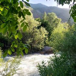 Walnussbäume über einige Kilometer. Bei Hitze ein Seegen.