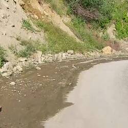 Gigantische Schmetterlinganzahl