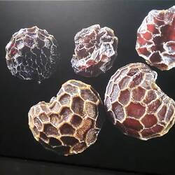 Ratespiel im Science Museum 🙃