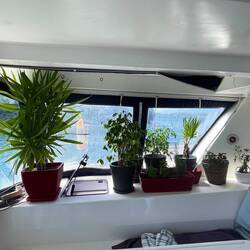 Mein Gewächshaus 😂