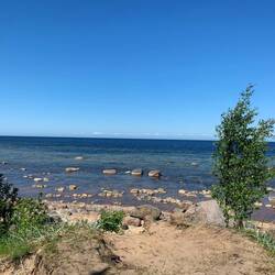 Blick vom Stellplatz