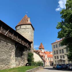 Alte Stadtmauer
