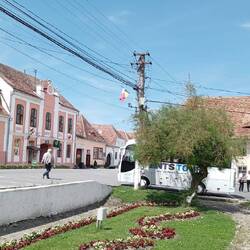 Unser Buschen versteckt sich im Schatten :-)