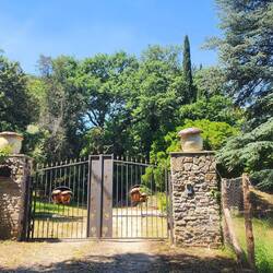 I think these people grow mushrooms