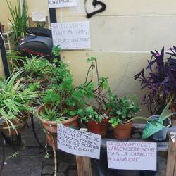 Alles kluge Sprüche, die ich mir von Google übersetzen lasse