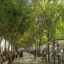 Die Champ Élysée Marseilles