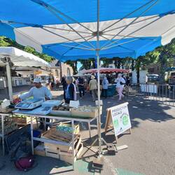 regionale Produkte auf dem Wochenmarkt