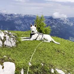 ..eine kleine Stärkung parat, sondern..