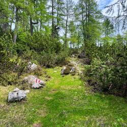 Zunächst geht es aber sanft am Hochplateau entlang.