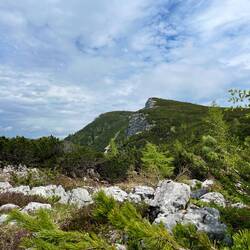 Ein letzter Blick auf den Gipfel und schon geht es..