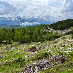 Der Weg nach unten führt üben den Planergraben.