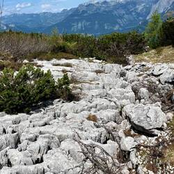 ..es stetig bergab, wobei es durch rutschige Wurzeln und..