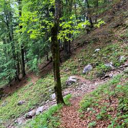 ..feuchten Laub zu einigen akrobatischen Hoppalas kommt.
