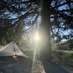 Zelt von Silver mein Nachbar für diese Nacht