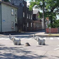 Pärnu: Elefanten in der ganzen Stadt