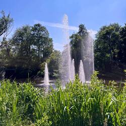 Vondelpark 💚
