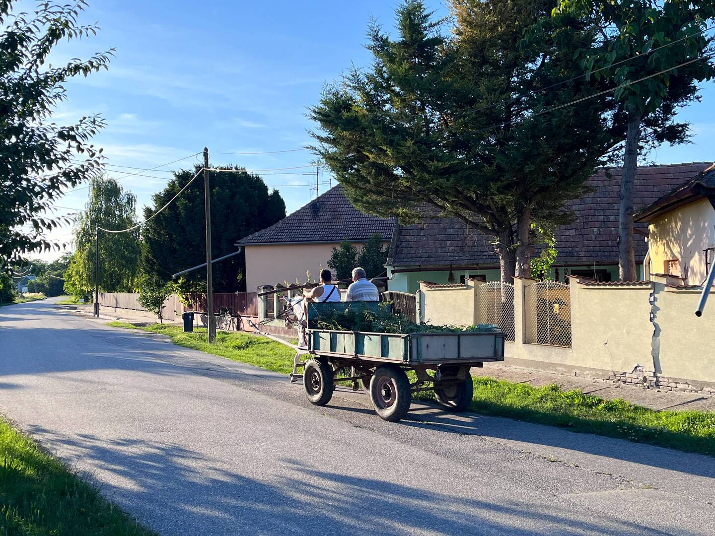 Da reiten sie hin in den Sonnenuntergang
