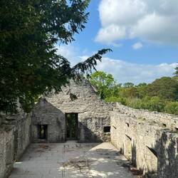 Muckross Abbey