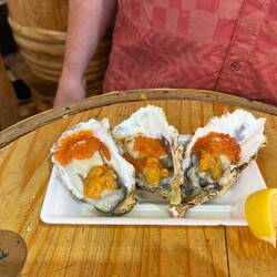 Market Oysters