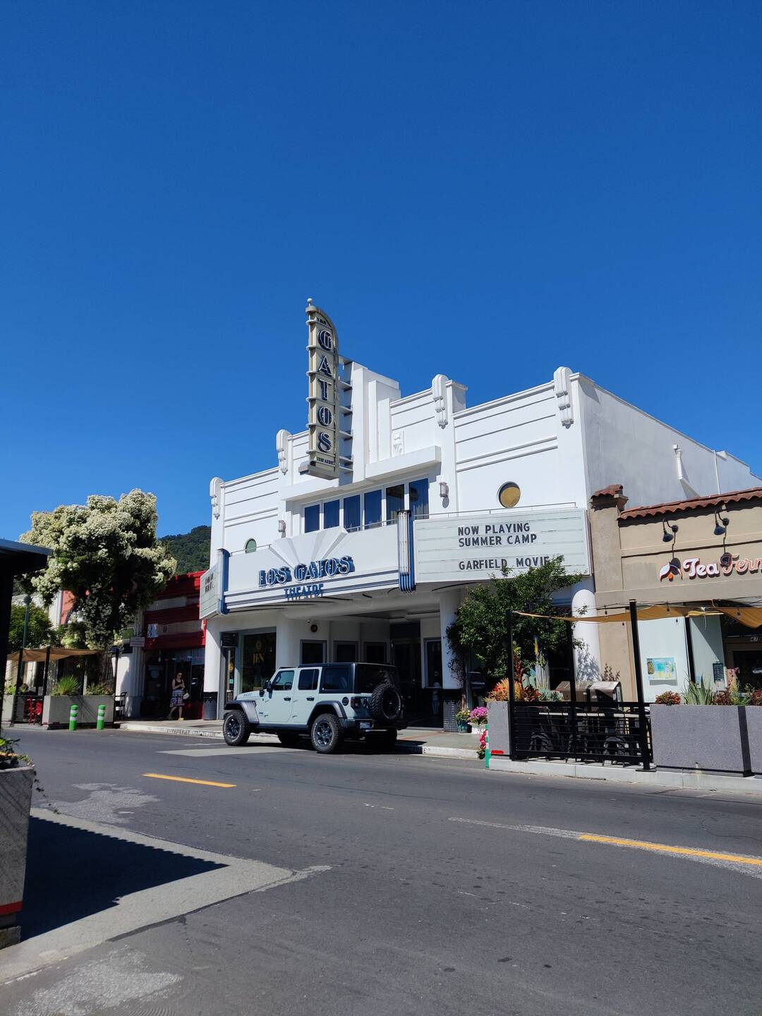 Kino in Los Gatos