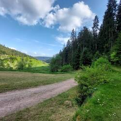 Da geht's weiter ...